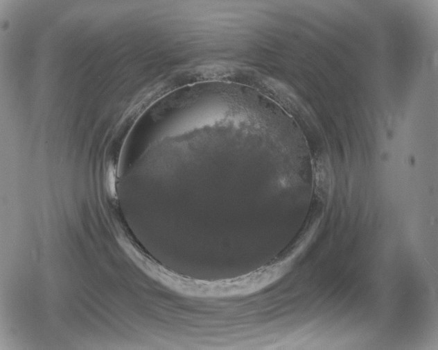 X0000080100046200612081213