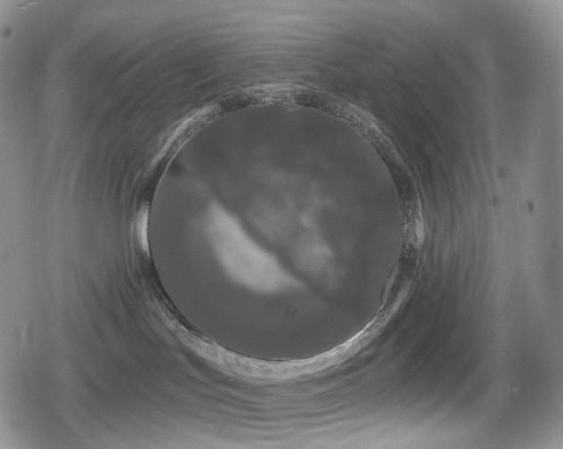 X0000080100047200612081213