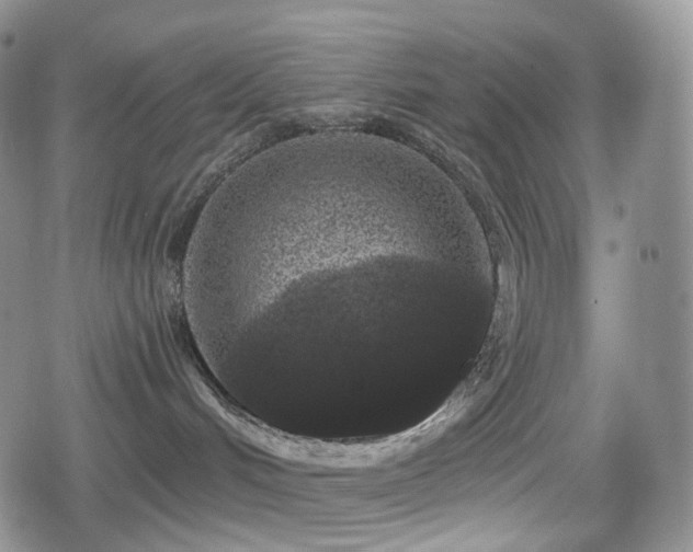 X0000080100048200612081213