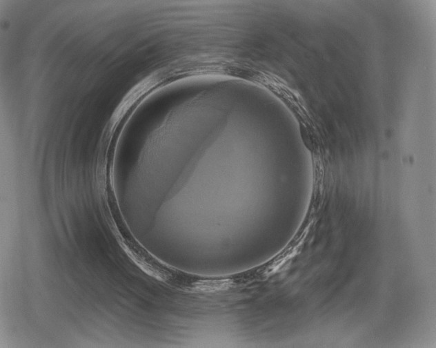 X0000080100051200612081212