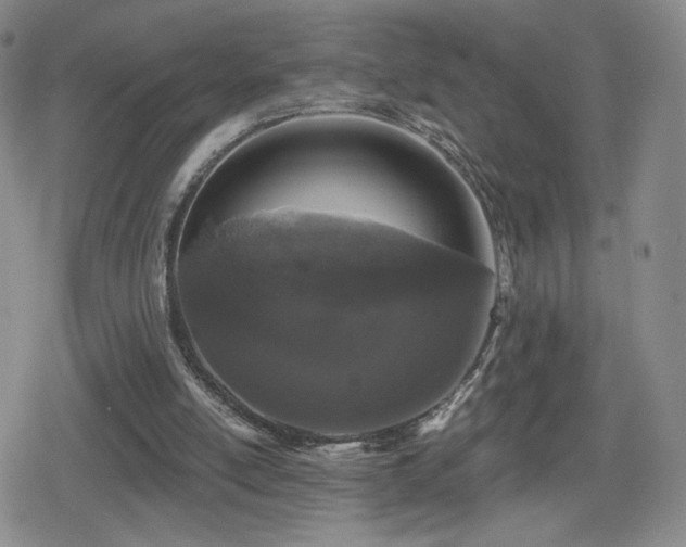 X0000080100054200612081212