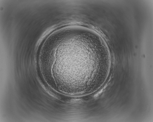X0000080100055200612081212