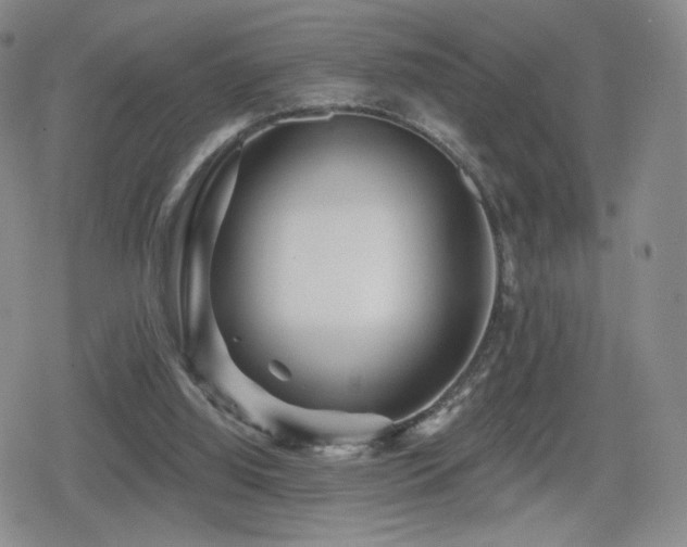 X0000080100060200612081212