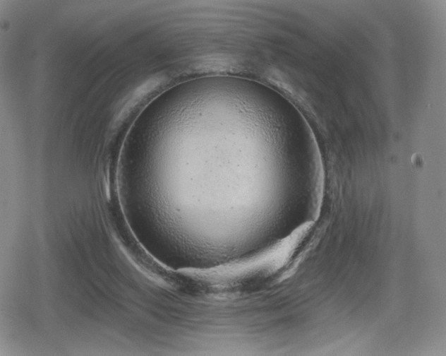 X0000080100062200612081212