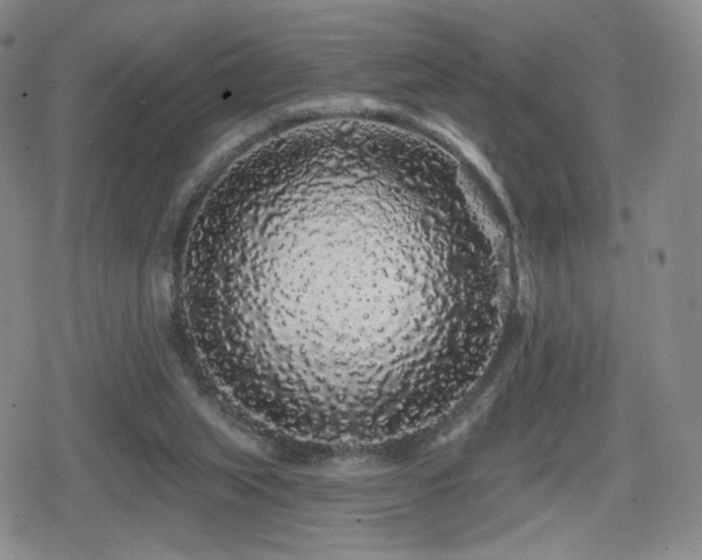 X0000080100063200612081212