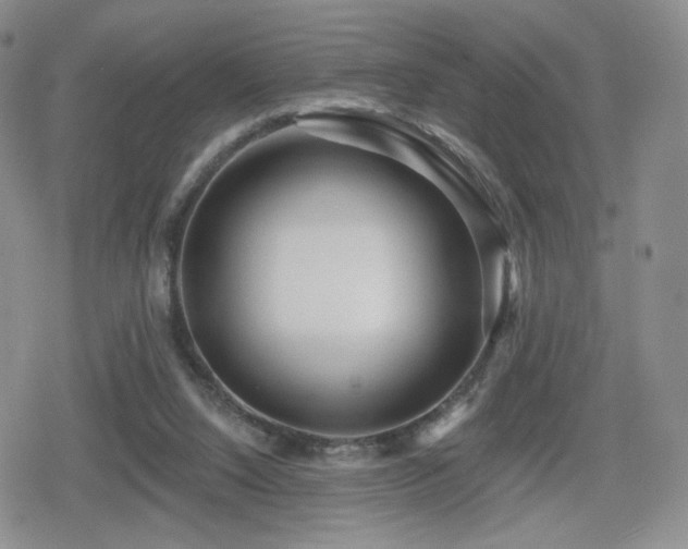 X0000080100064200612081212