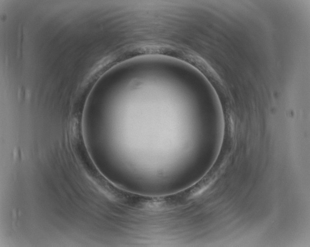 X0000080100071200612081212