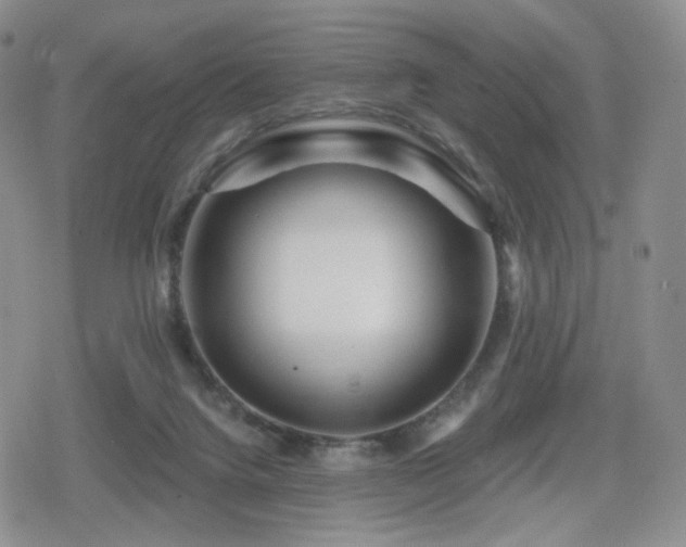 X0000080100072200612081212
