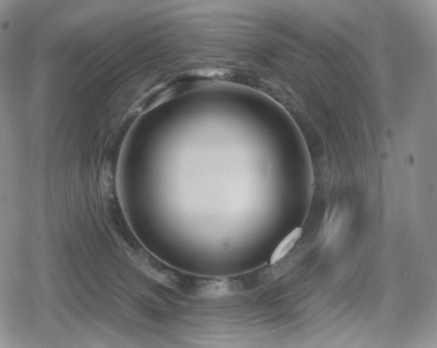 X0000080100083200612081213