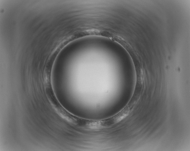 X0000080100084200612081213