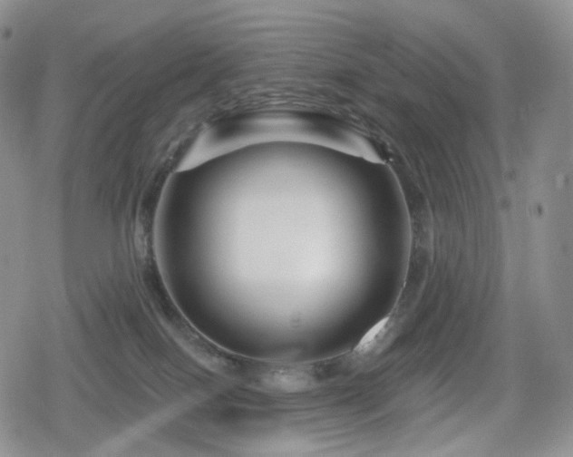 X0000080100086200612081213