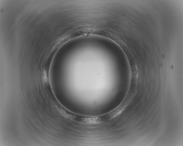 X0000080100089200612081213