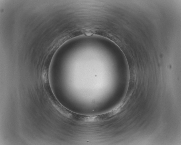X0000080100090200612081213