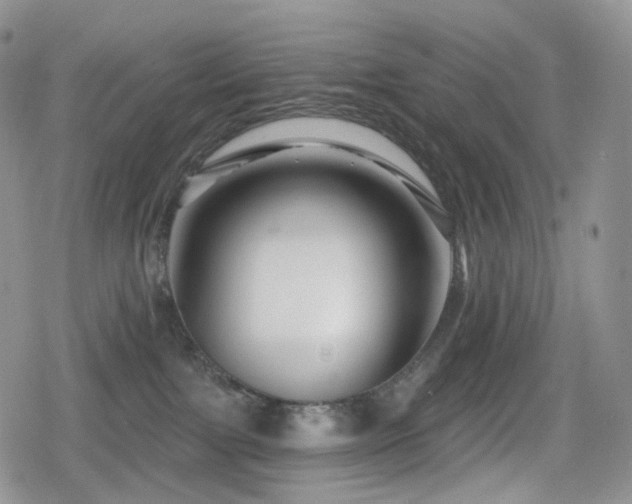 X0000080100091200612081213