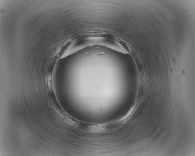X0000080100094200612081213