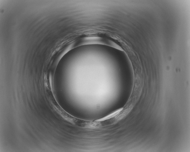 X0000080100096200612081213