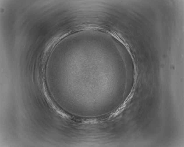 X0000080100097200612081212