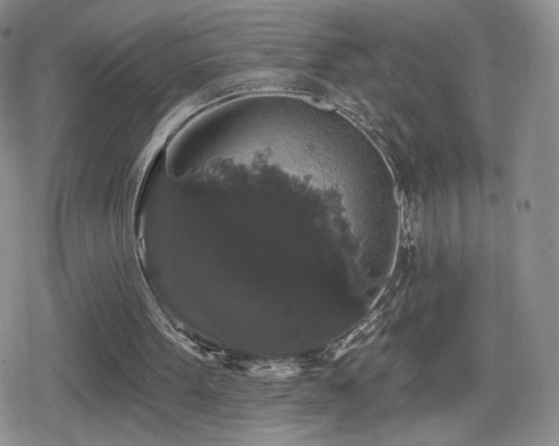 X0000080100099200612081212