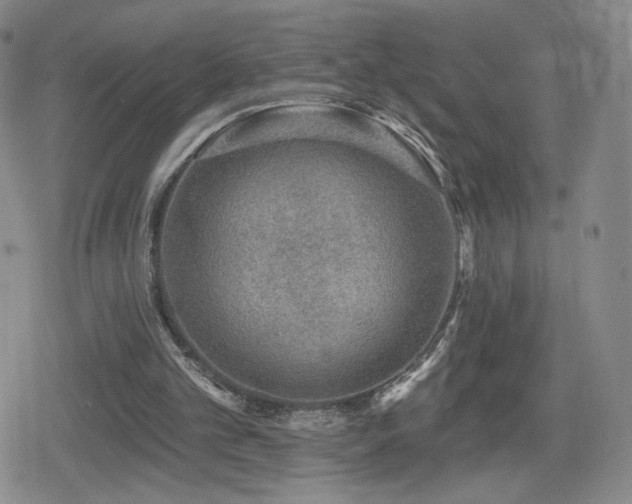 X0000080100101200612081212