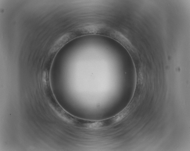 X0000080100122200612081212