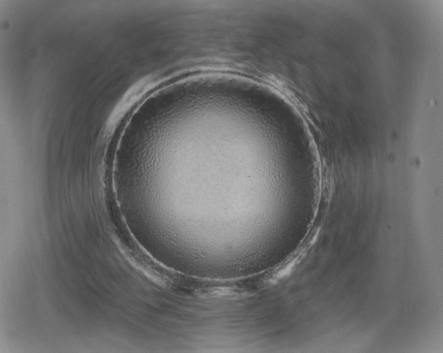 X0000080100151200612081211