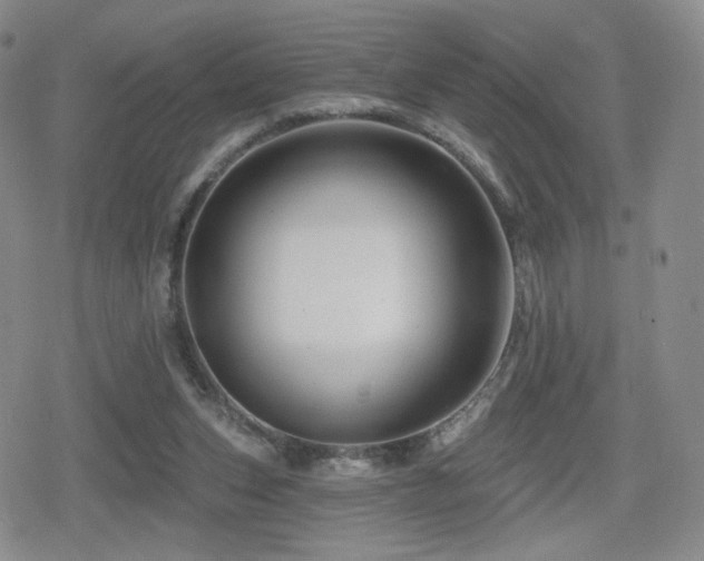 X0000080100159200612081211