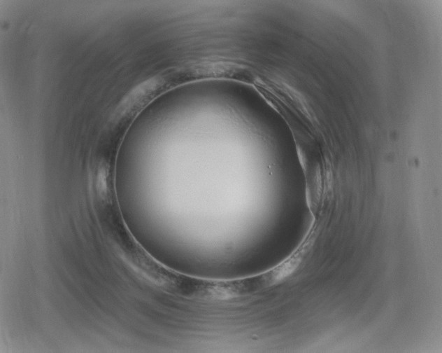 X0000080100166200612081211