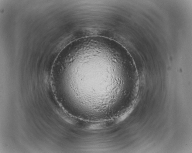 X0000080100178200612081211