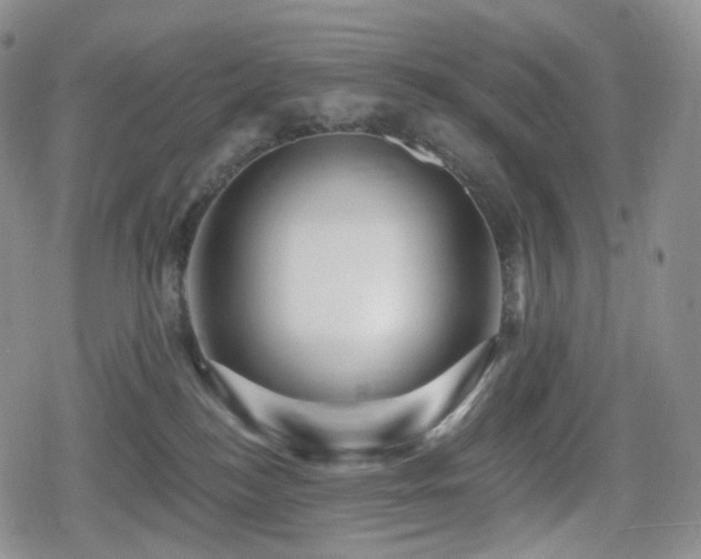 X0000080100184200612081211