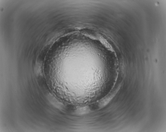 X0000080100185200612081211