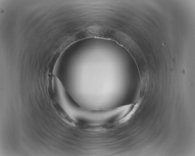 X0000080100186200612081211