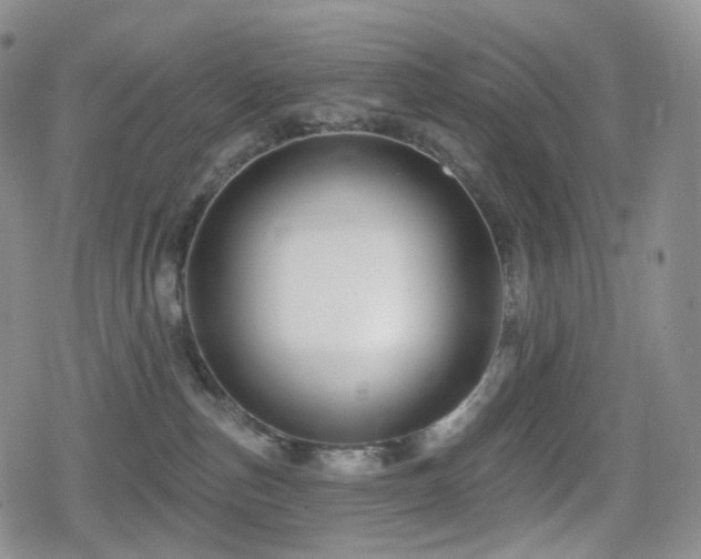 X0000080100187200612081211