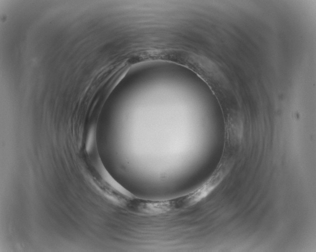 X0000080100188200612081211