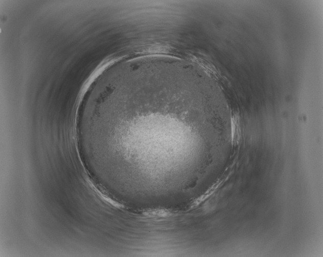 X0000080100195200612081210