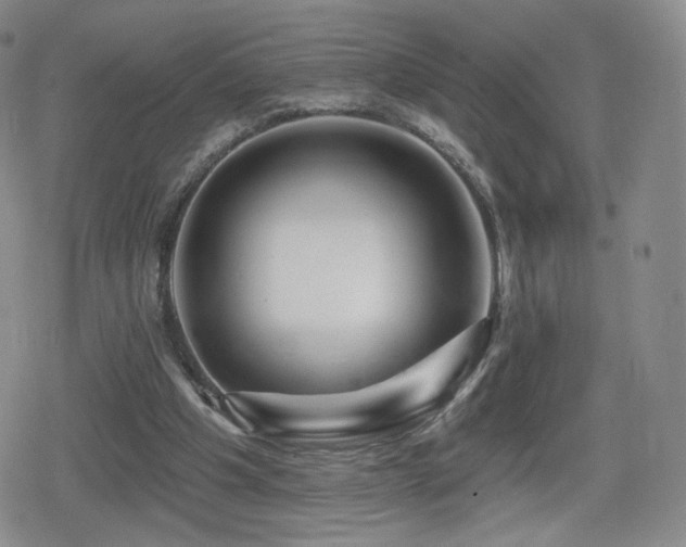 X0000080100201200612081210