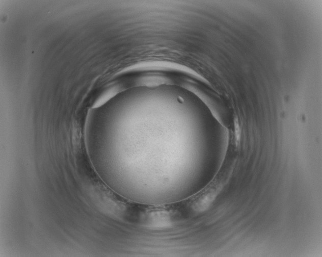 X0000080100228200612081210