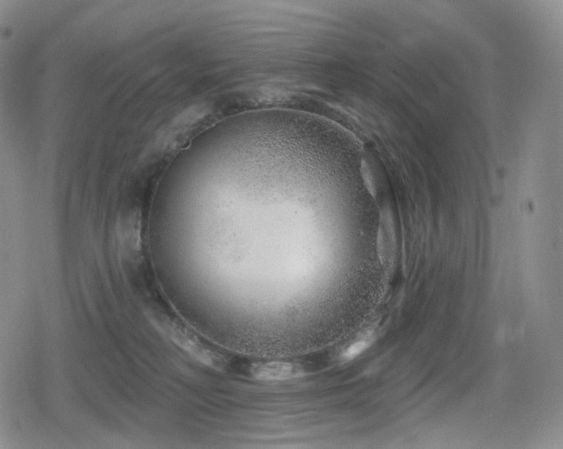 X0000080100230200612081210