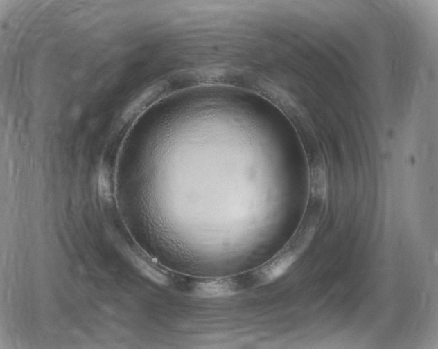 X0000080100238200612081210