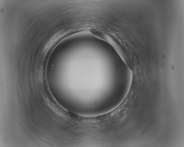 X0000080100242200612081209