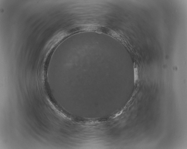X0000080100243200612081209