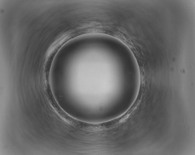 X0000080100245200612081209