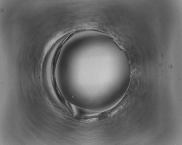 X0000080100248200612081209
