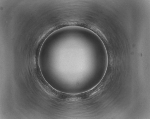 X0000080100251200612081209
