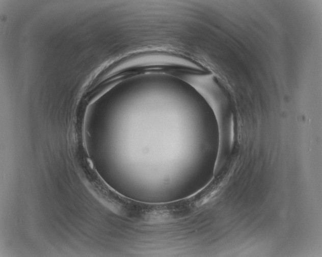 X0000080100252200612081209