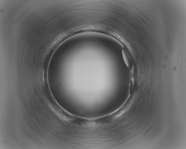 X0000080100253200612081209