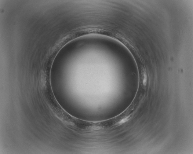 X0000080100255200612081209