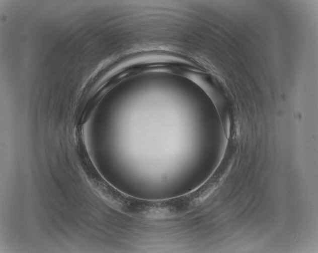 X0000080100256200612081209