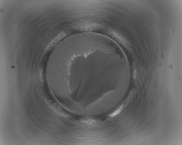 X0000080100258200612081209