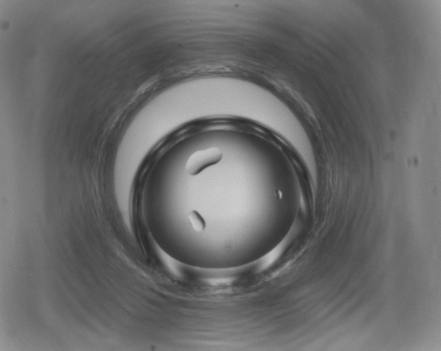 X0000080100260200612081209