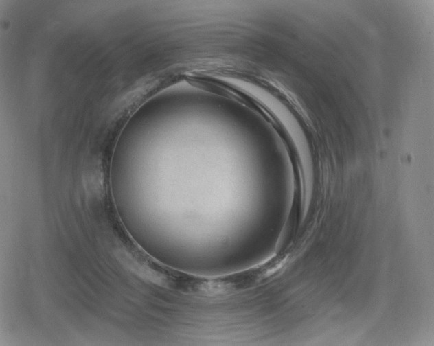 X0000080100261200612081209